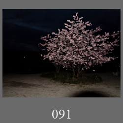 091_260315_01b_Edt2.html